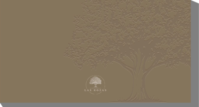 Brochure Hacienda Las Rozas